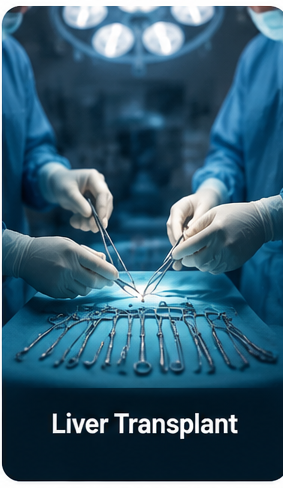 Liver Transplant